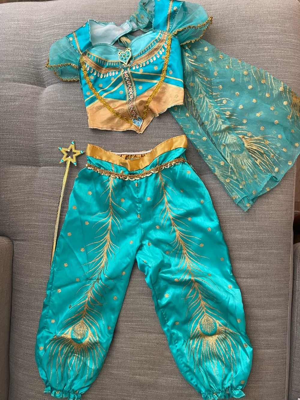 Disney’s Princess Jasmine Teal & Gold Costume